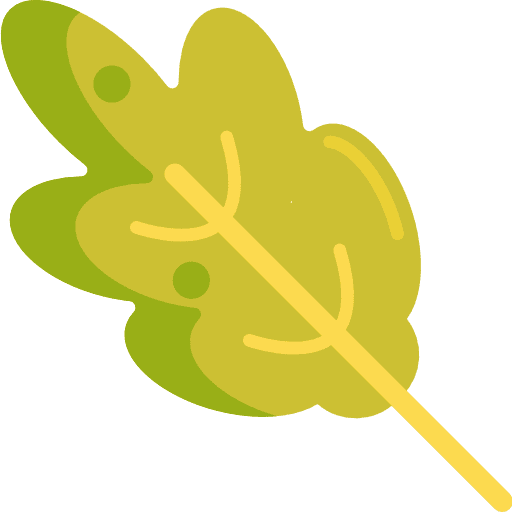 Oak leaf botanical nature icon