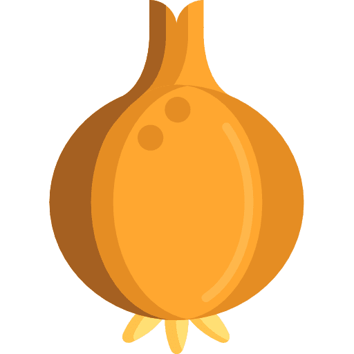Onion healthy food food diet icon