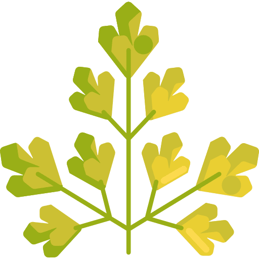 Parsley food and restaurant plant vegan icon
