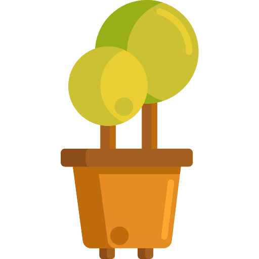 Potted plant potted plant botanic nature icon