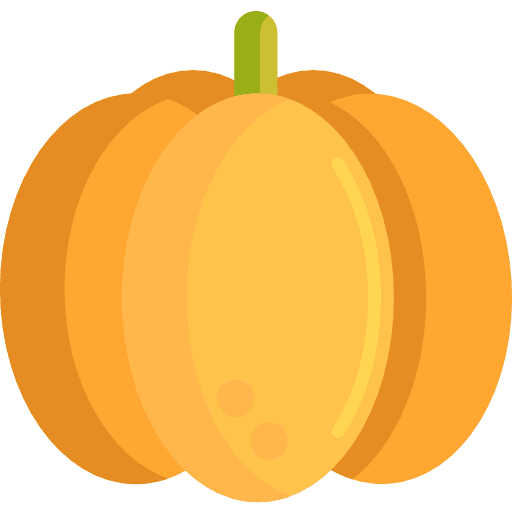 Pumpkin pumpkin vegan diet icon
