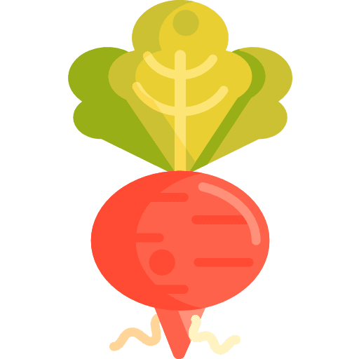 Radish vegetarian radish food icon