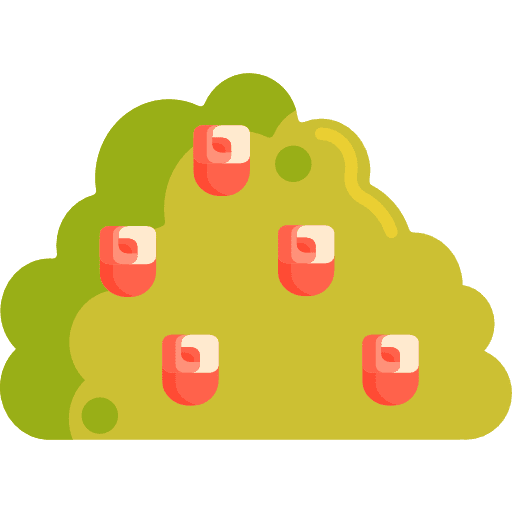 Roses nature garden rose icon