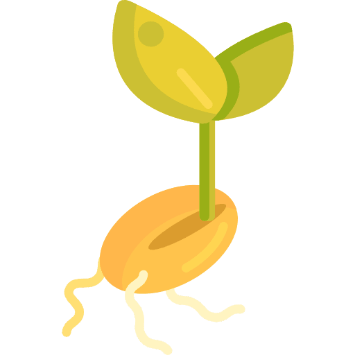 Seed seed sprout nature icon
