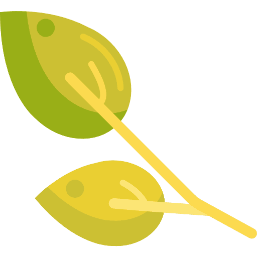 Leaves leaf leaves botanical icon