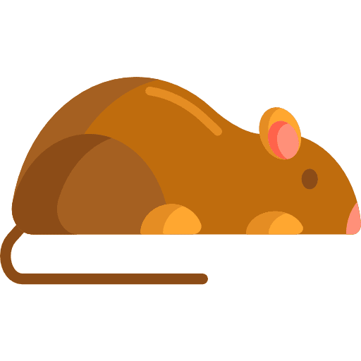 Mouse mouse animal kingdom mammal icon