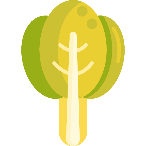 Spinach vegan nature food icon