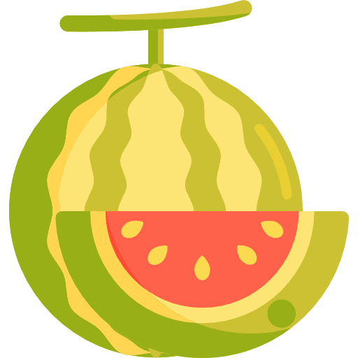 Watermelon watermelon vegetarian healthy food icon