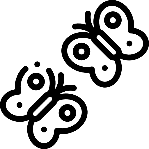 Butterfly boho wings entomology icon