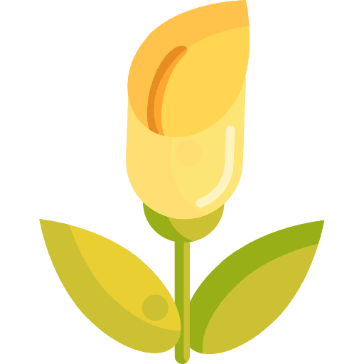 Zantedeschia nature gardening flower icon