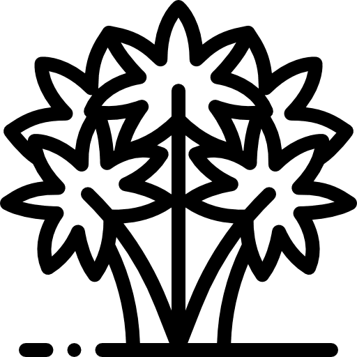 Palm oasis palm tree palms icon