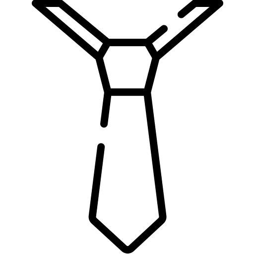 Accessory elegant accessory fashion icon