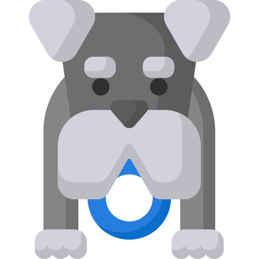 Animal kingdom mammal pet animals icon