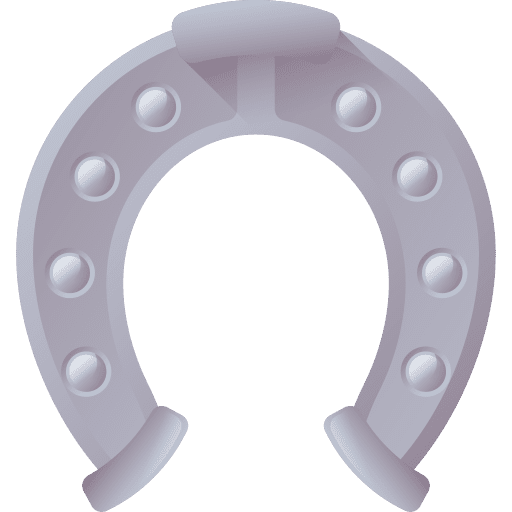 Horseshoe horse good luck animals icon