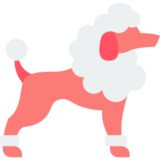 Poodle pet animals breed icon