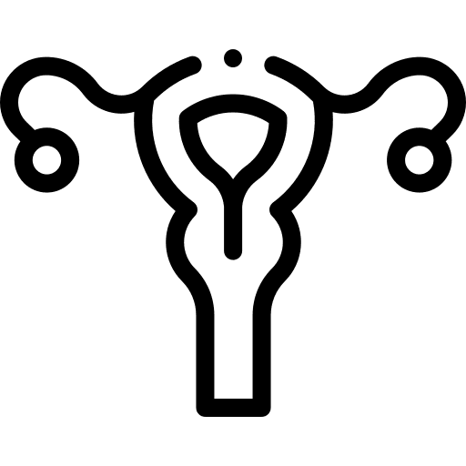 Uterus anatomy medical healthcare and medical icon