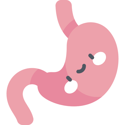 Stomach organ healthcare and medical gastroenterology icon