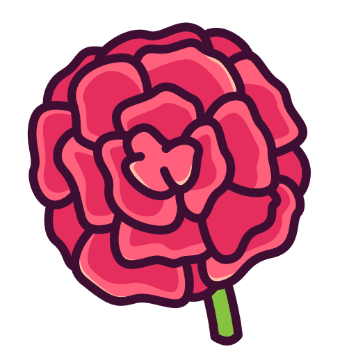 Carnation flowers botanical carnation icon