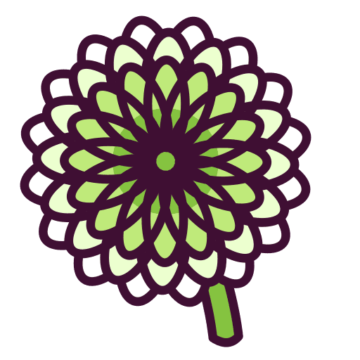 Chrysanthemum botanical plant petals icon