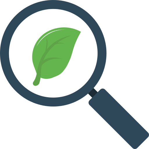Magnifying glass leaf magnifying glass detective icon