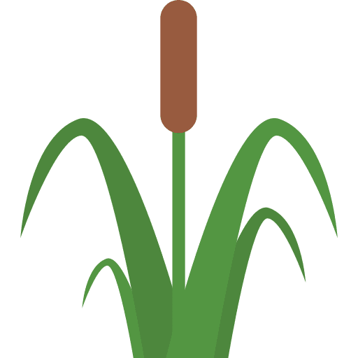 Swamp landscape nature swamp icon