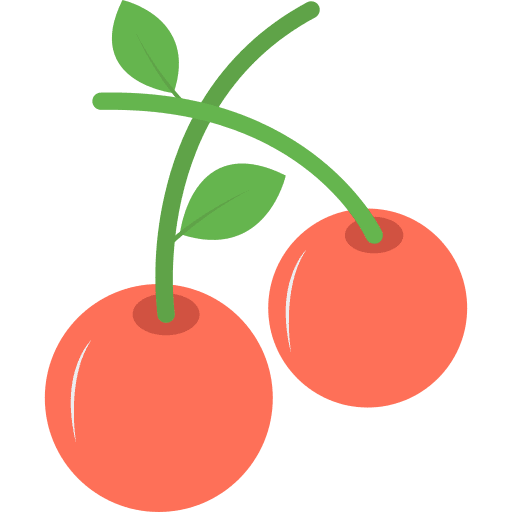 Berry fruits cherry organic icon