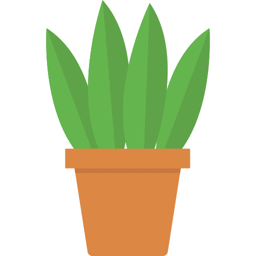 House plants house plants plant furniture and household icon