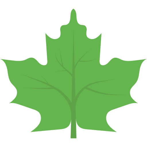Leaf leaves garden nature icon
