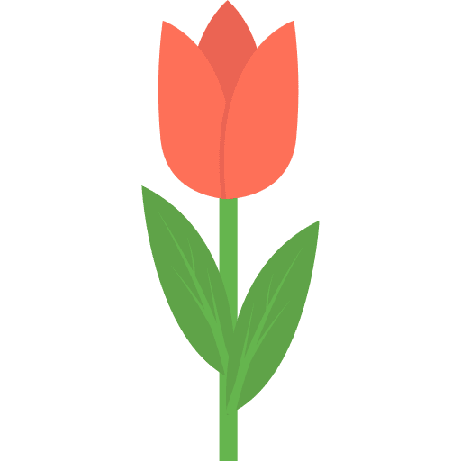 Rose petals cultures flower icon