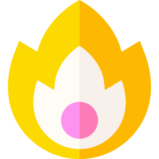 Fire fire burning flame icon