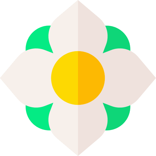 Flower petals botanical nature icon