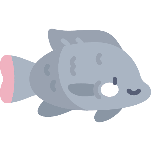 Fish sea aquatic aquarium icon