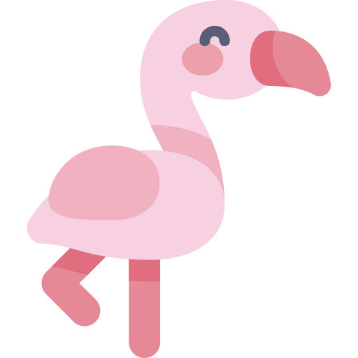 Flamingo bird zoo flamingo icon