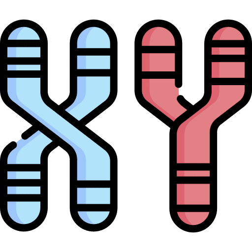 Chromosome virus dna gene icon