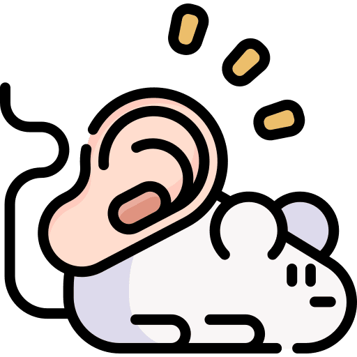 Organ growing mouse biology ear icon