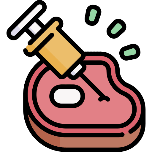Genetic modification syringe food steak icon