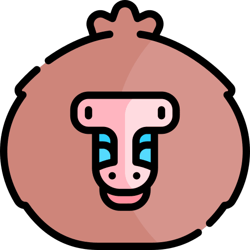 Monkey mammal animal kingdom monkey icon