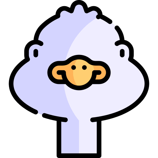 Ostrich australia animals zoo icon