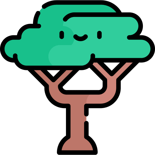 Tree rainforest wild tree icon