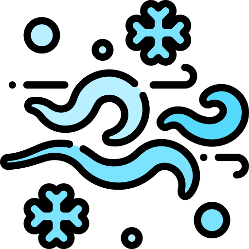 Snow cold storm wind icon