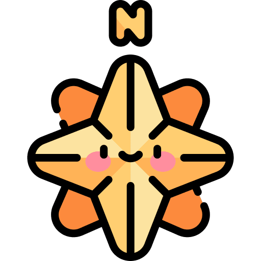 North map wind rose cardinal point icon