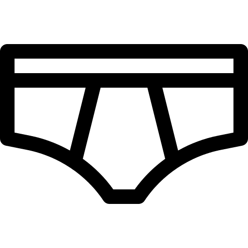 Panties underwear underpants knickers icon