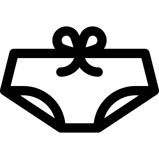 Panties lingerie knickers panties icon