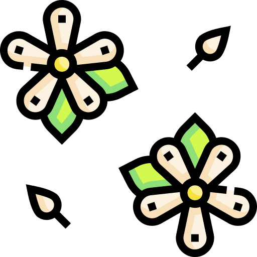 Jasmine jasmine flower botanical icon