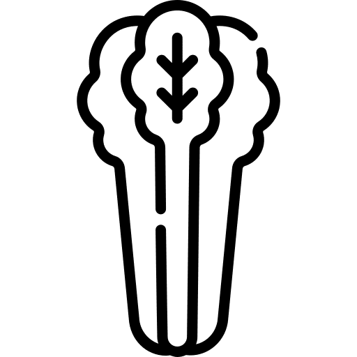 Celery vegan vegetarian celery icon