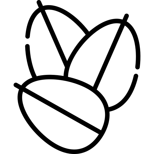 Oat grain cereal oat icon