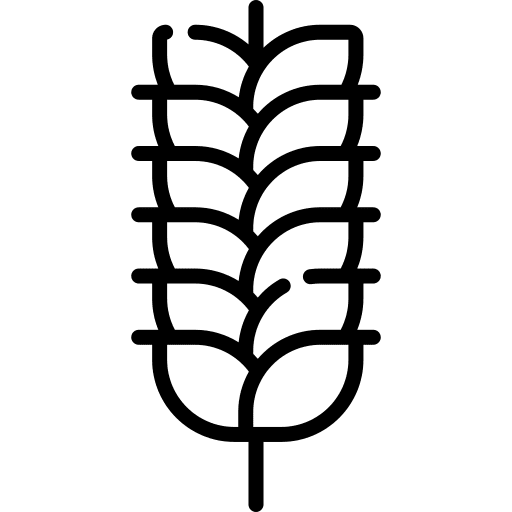 Wheat cereal malt botanical icon