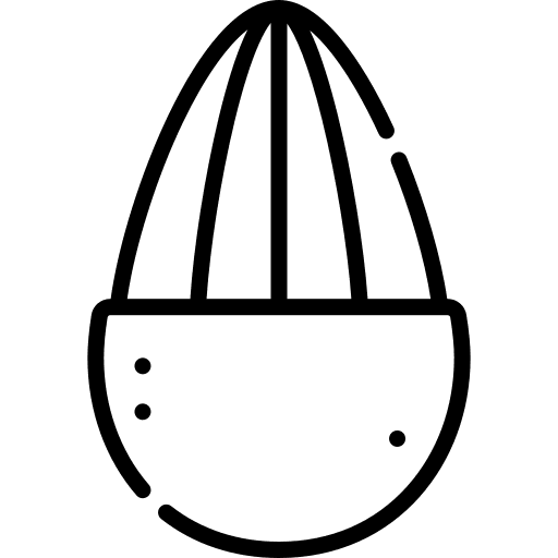 Almond almond vegetable diet icon