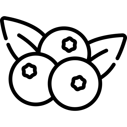 Blueberry berry allergen nature icon