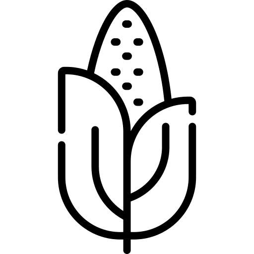 Corn diet food vegetarian icon